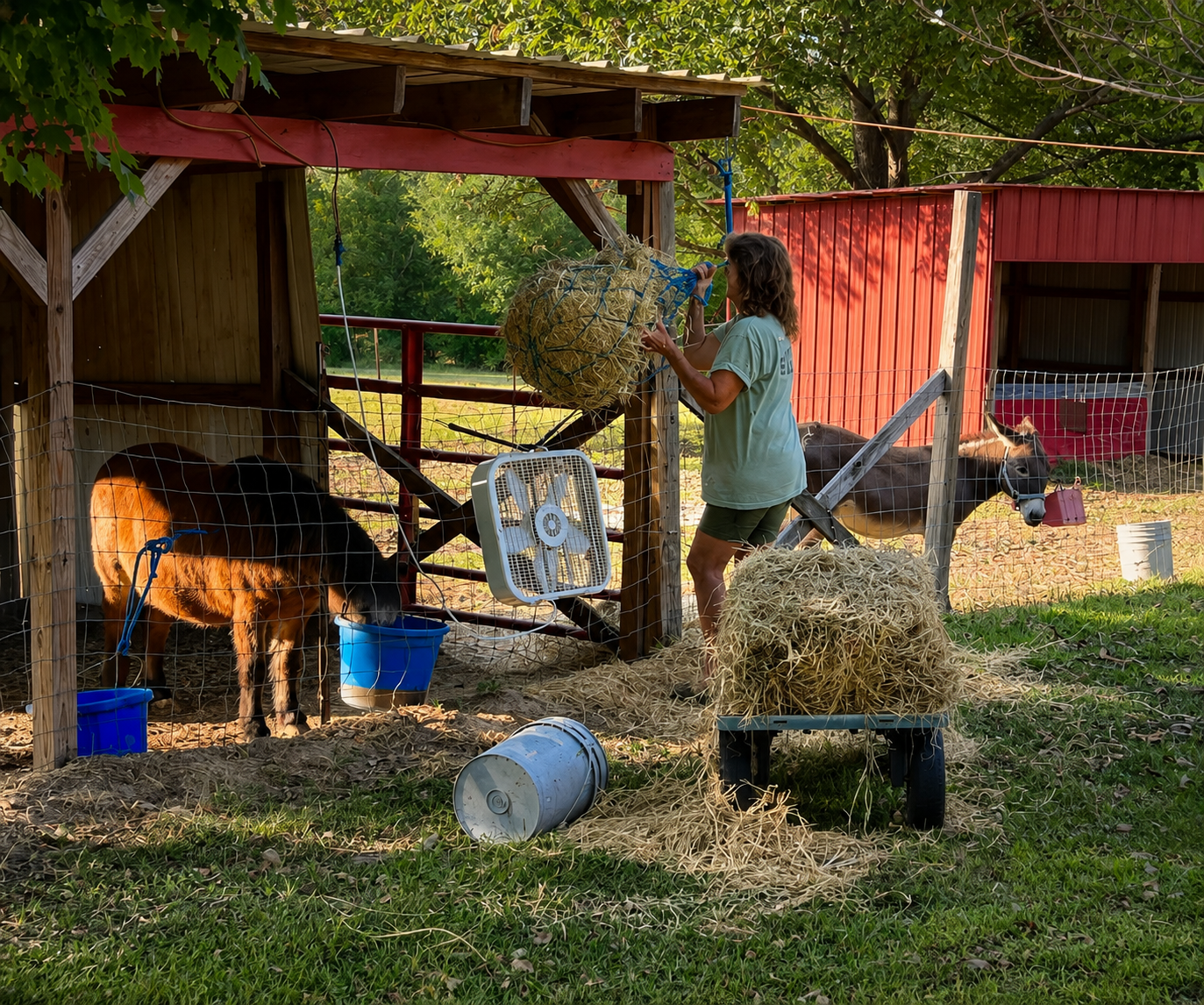Nita Kay lovingly feeding an animal
